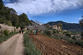 DSC06082 -1_t.jpg